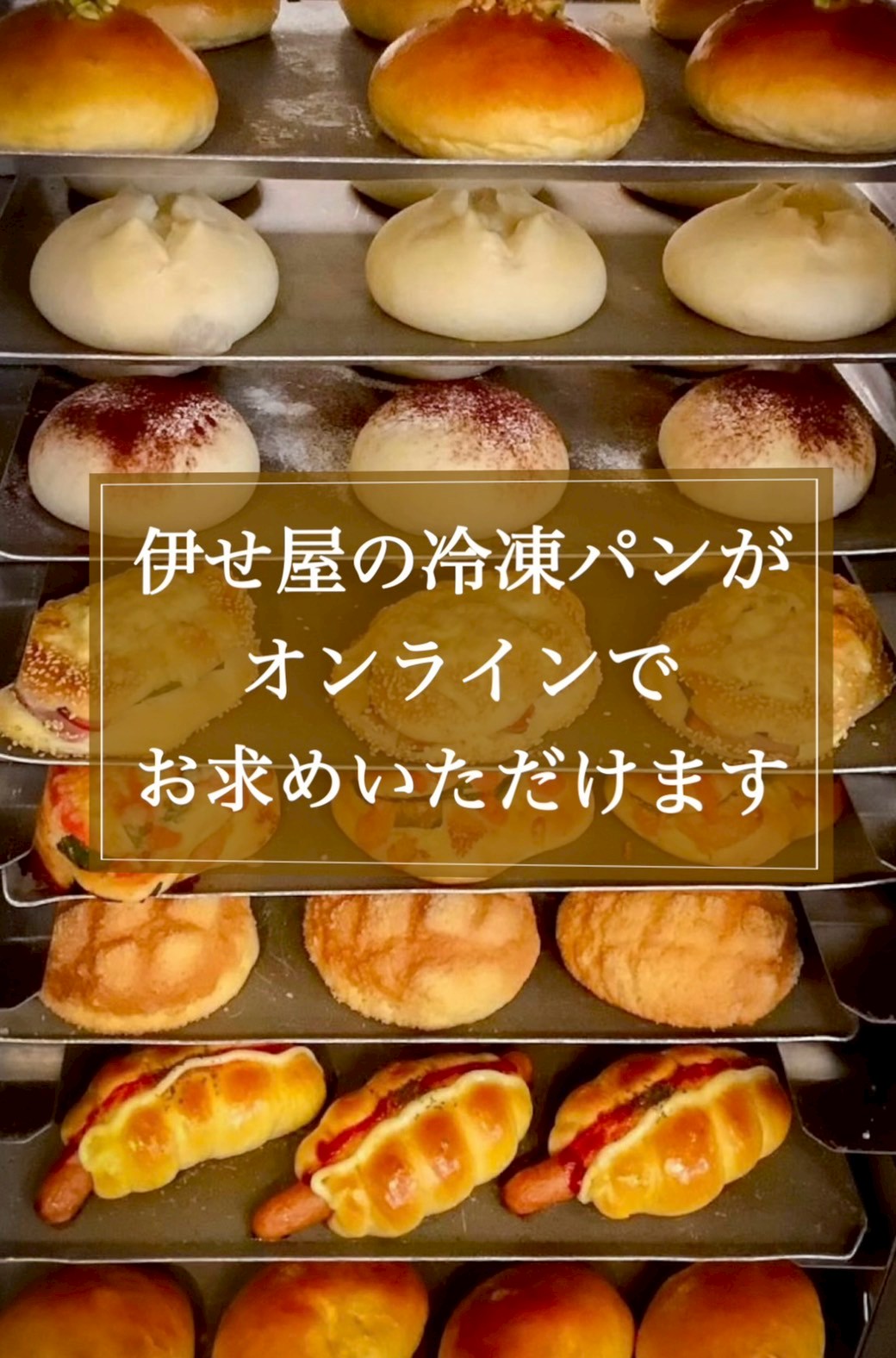 スライド画像